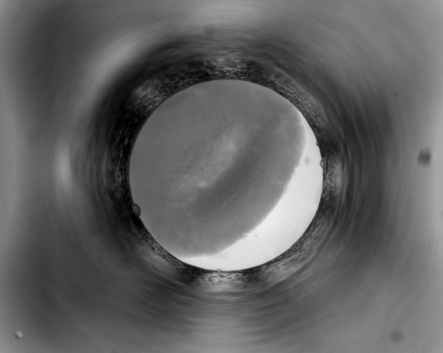 X0000103400526200810100937