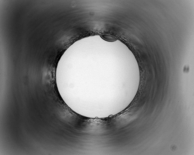 X0000103400528200810100936