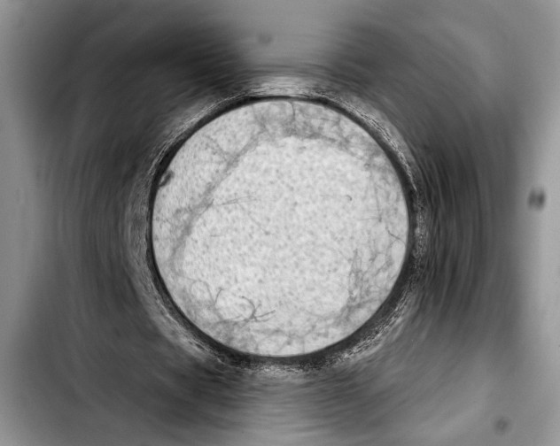 X0000103400529200810100936