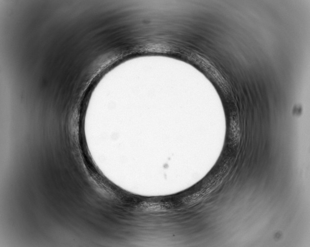 X0000103400534200810100936