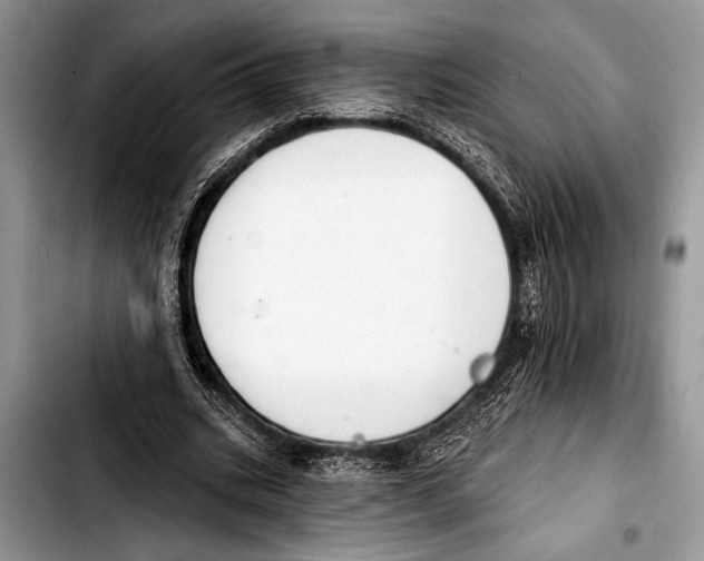 X0000103400535200810100936