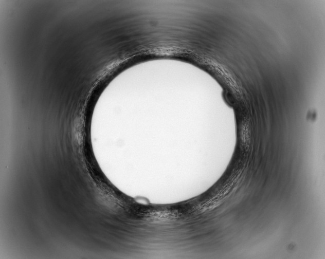 X0000103400540200810100936