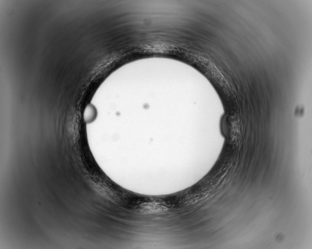 X0000103400544200810100936