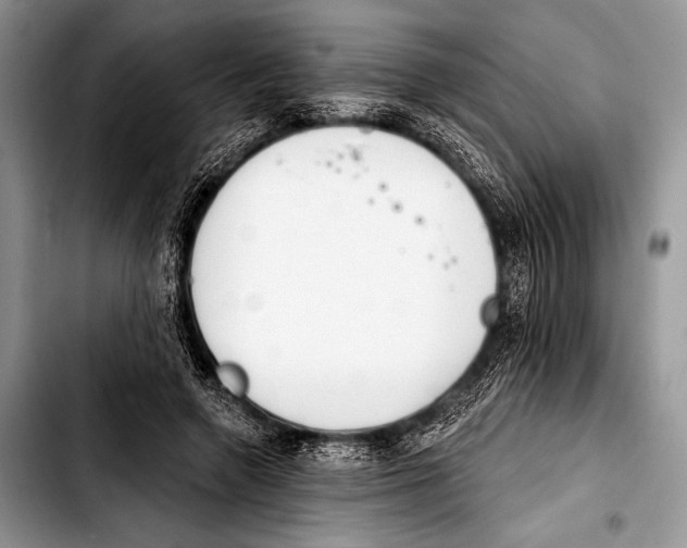 X0000103400546200810100936