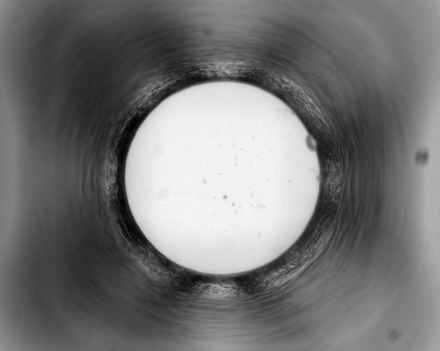 X0000103400548200810100936