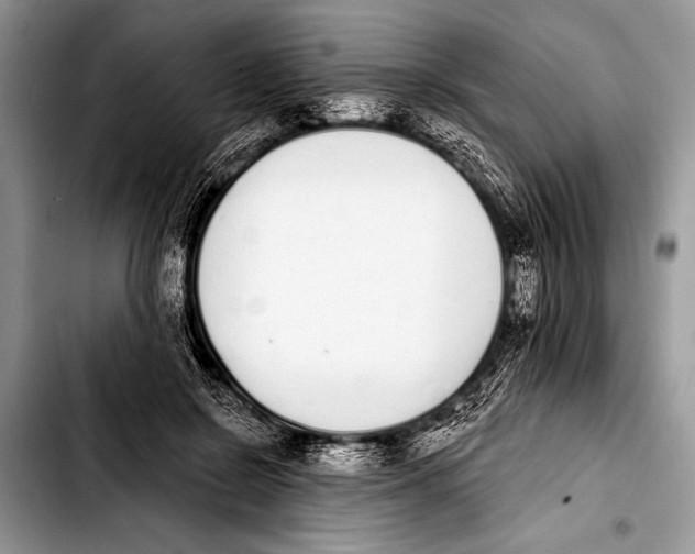 X0000103400550200810100936