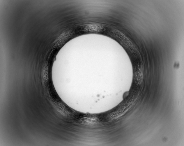 X0000103400552200810100936