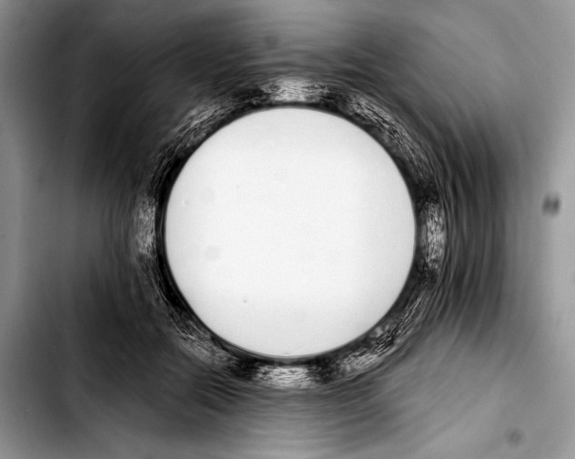 X0000103400554200810100936