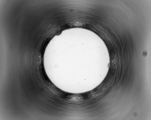 X0000103400555200810100936