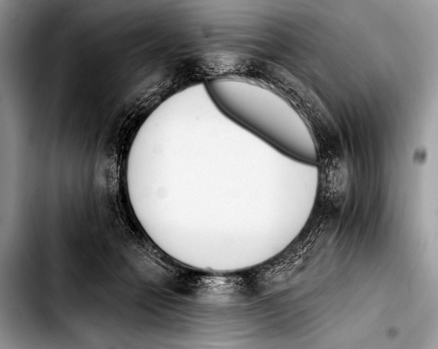 X0000103400558200810100936