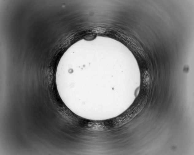 X0000103400559200810100936