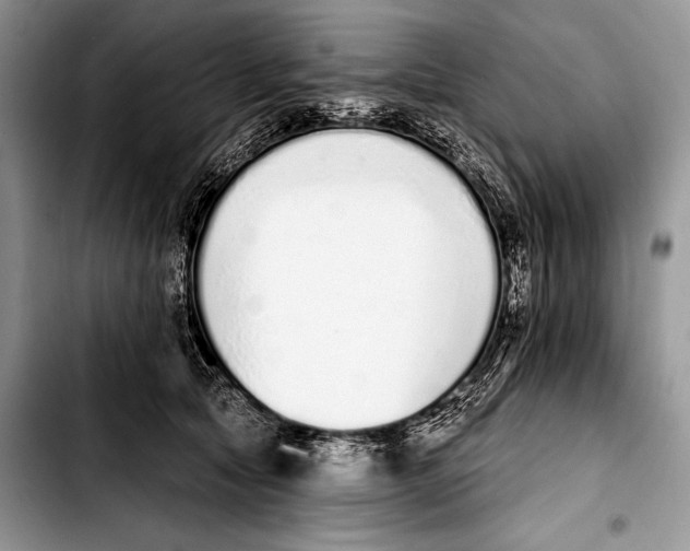 X0000103400561200810100936