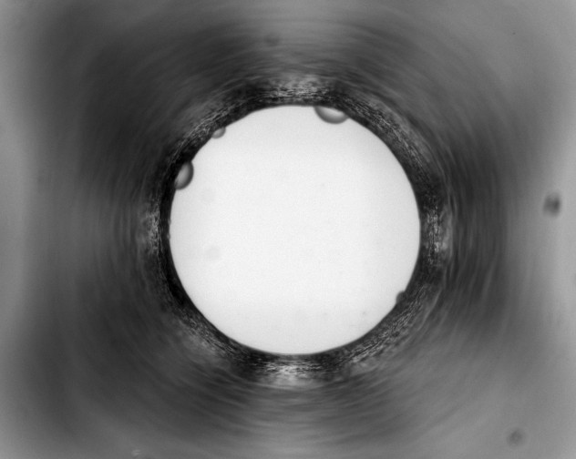 X0000103400564200810100936