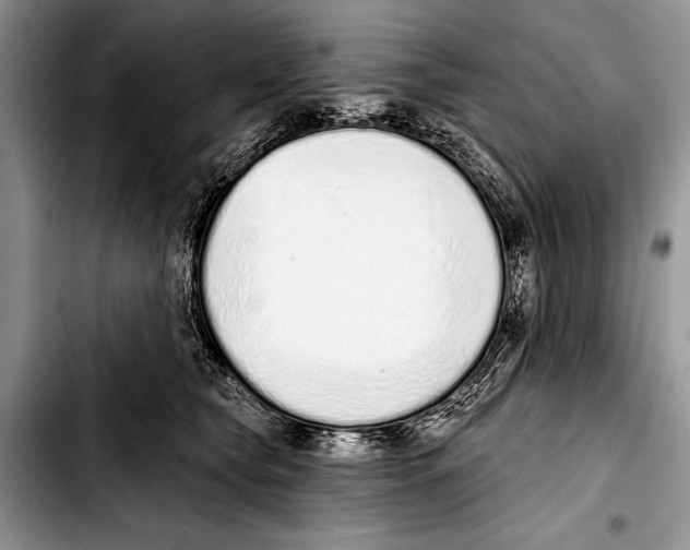 X0000103400565200810100936