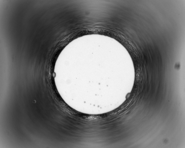 X0000103400566200810100936