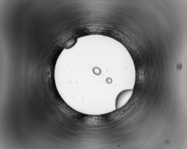 X0000103400567200810100936