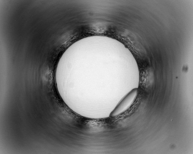 X0000103400568200810100936