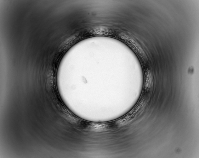 X0000103400569200810100936