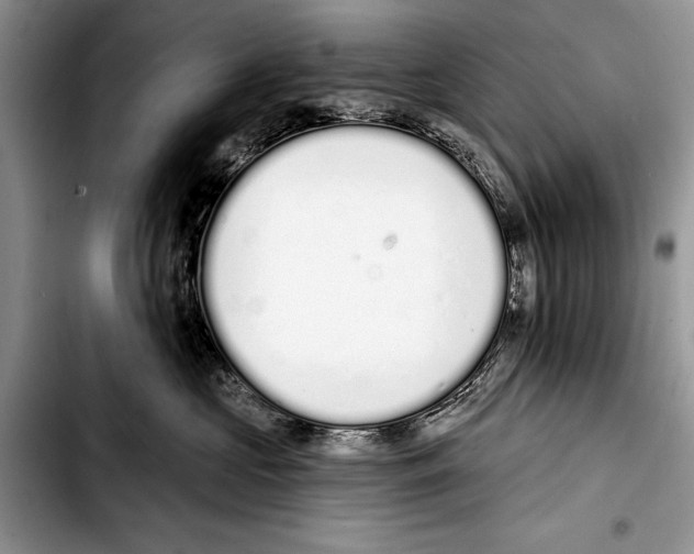 X0000103400573200810100936