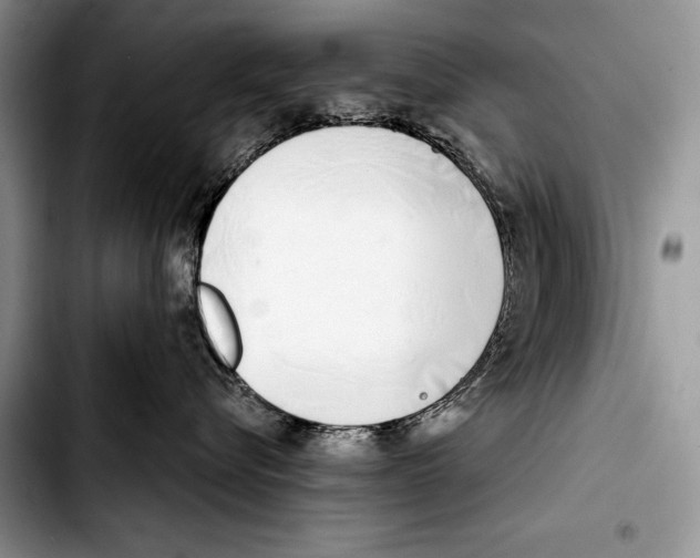 X0000103400576200810100936