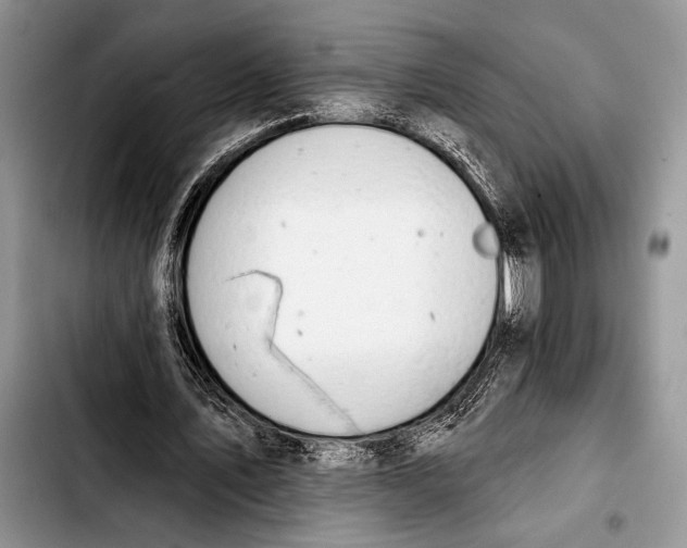 X0000103400579200810100936