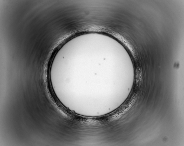 X0000103400581200810100936