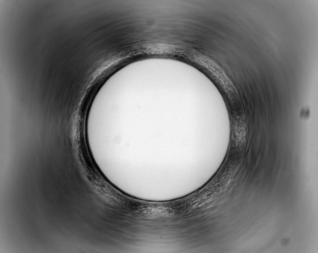 X0000103400583200810100936