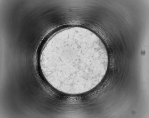 X0000103400584200810100936