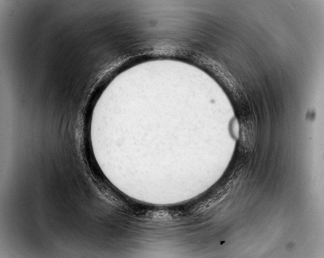 X0000103400588200810100936