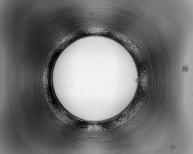 X0000103400591200810100936