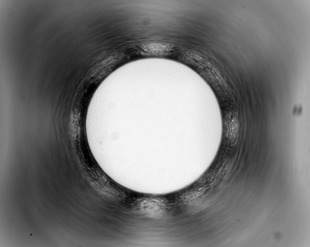 X0000103400599200810100935