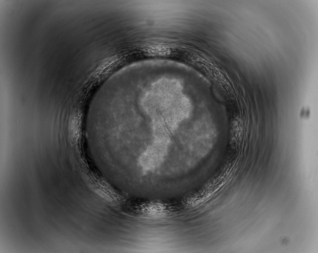 X0000103400600200810100935