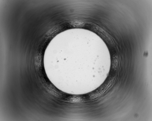 X0000103400604200810100935