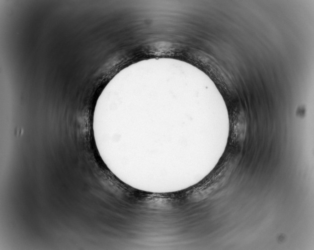 X0000103400620200810100935