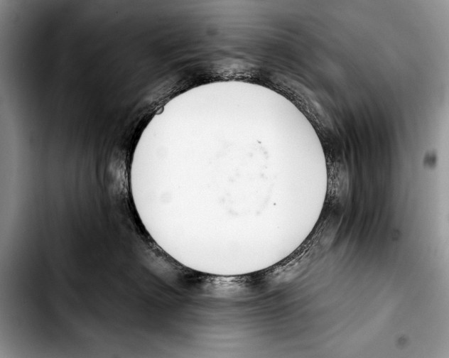 X0000103400622200810100935