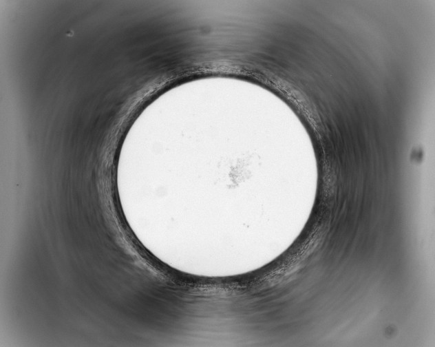 X0000103400625200810100934