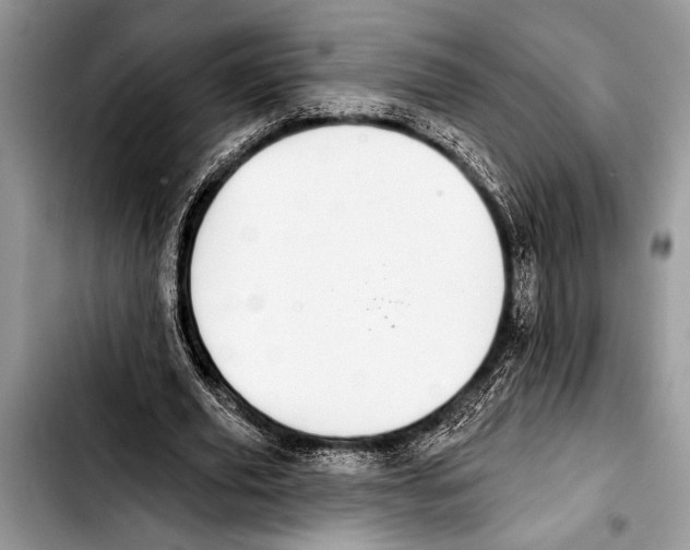 X0000103400629200810100934