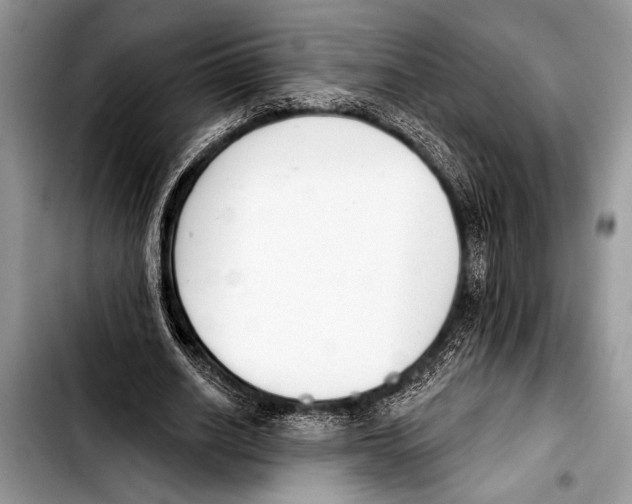 X0000103400630200810100934