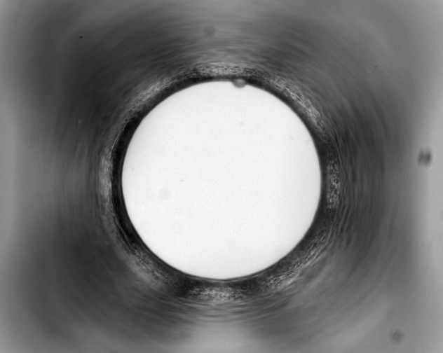 X0000103400631200810100934