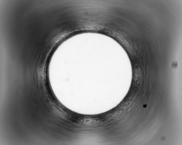 X0000103400632200810100934