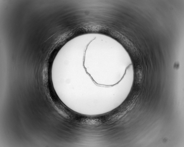 X0000103400638200810100934