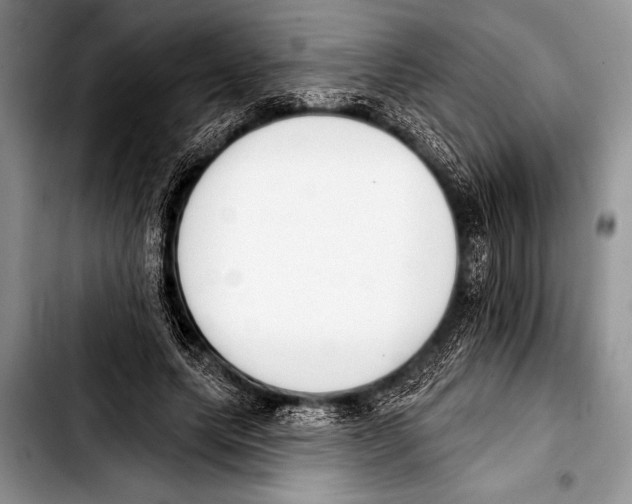 X0000103400639200810100934