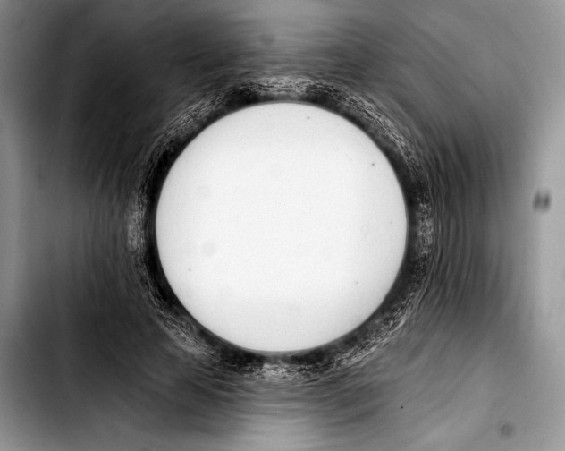 X0000103400641200810100934