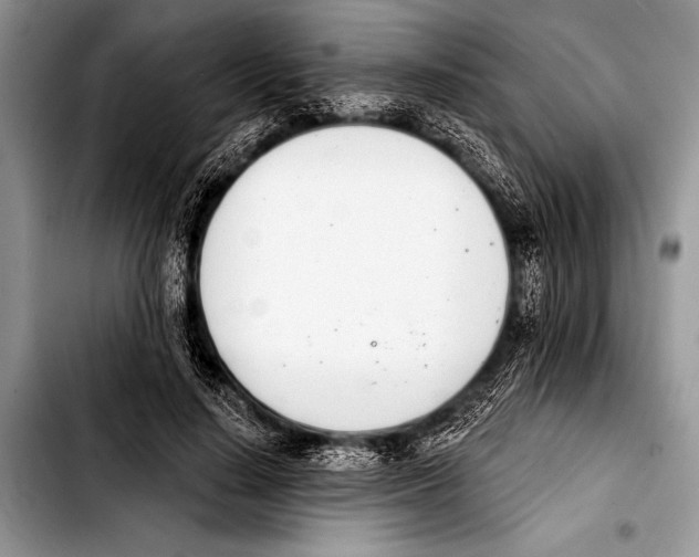 X0000103400644200810100934