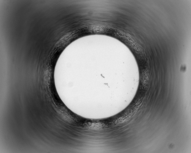 X0000103400645200810100934