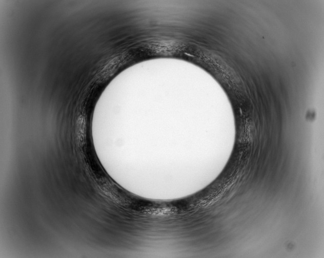 X0000103400646200810100934