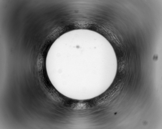 X0000103400647200810100934