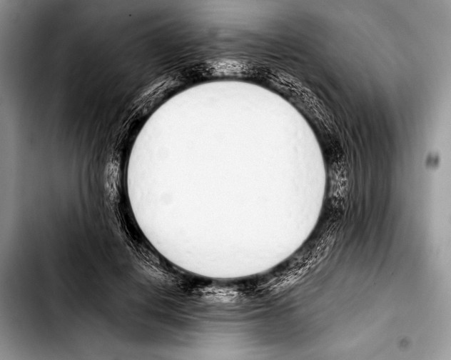 X0000103400648200810100934