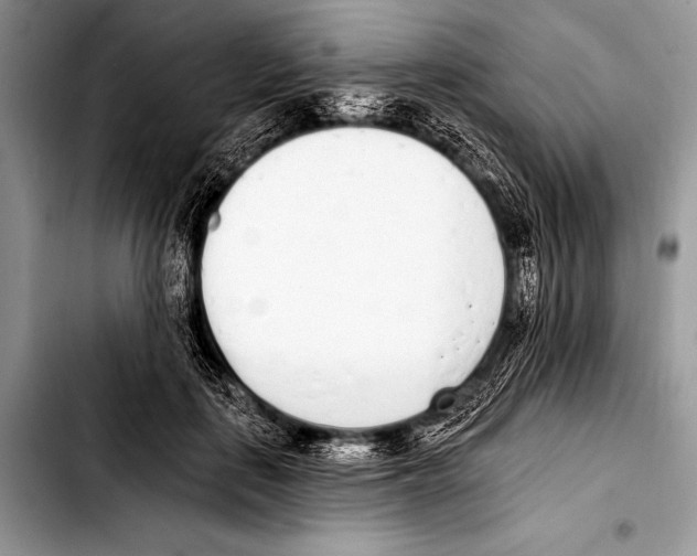 X0000103400651200810100935