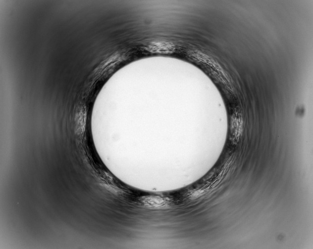 X0000103400652200810100935